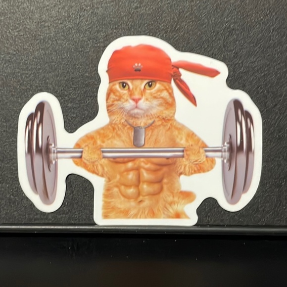 WEIGHT LIFTING GYM BUFF ORANGE CAT STICKER - Picture 1 of 1